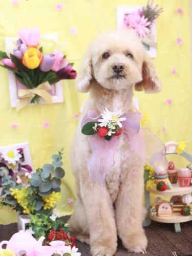 20230304アロマくん